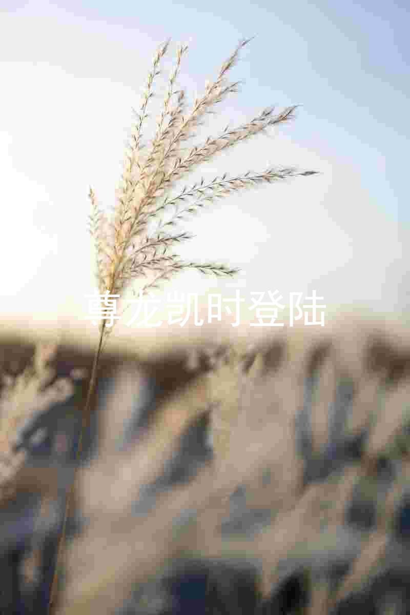 尊龙凯时登陆