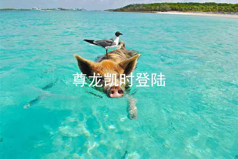 尊龙凯时登陆
