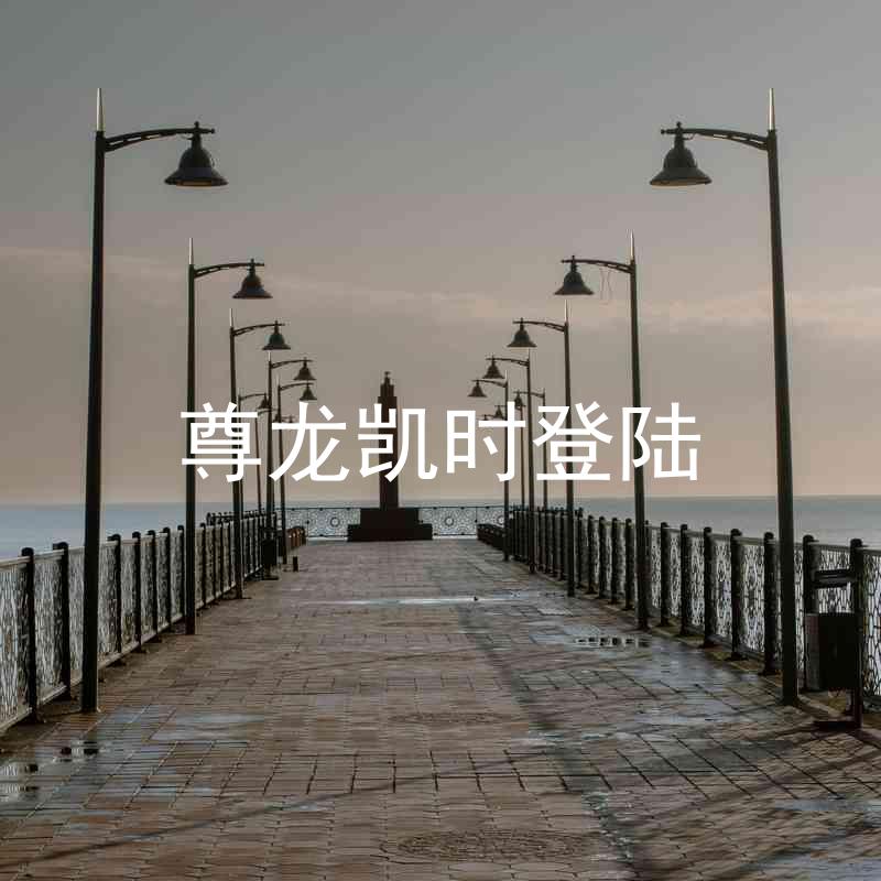 尊龙凯时登陆